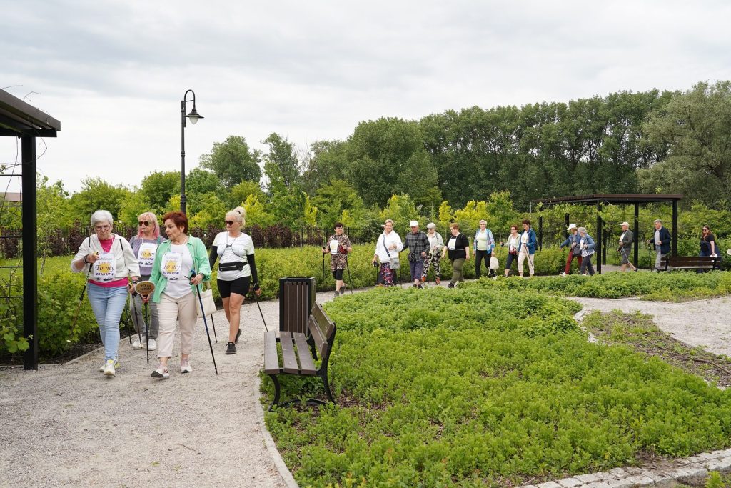 Jubileuszowy marsz Nordic Walking i spacer, zdjęcie 7